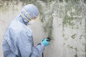 Best Mold Remediation for Healthcare Facilities in Sunrise Beach Village, TX